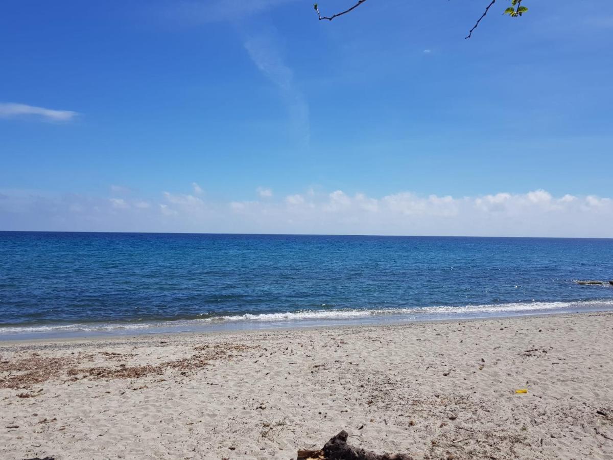 Maisons T2 Avec Jardins Privatifs - 10Mn De La Plage Et 5Mn Du Village - Casa Di I Trinelli Vescovato Bagian luar foto
